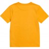 Chlapecké tričko TIMBERLAND T25R75-565 žluté barvy