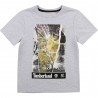 Chlapecké tričko s krátkým rukávem TIMBERLAND T25R77-A32, šedá barva