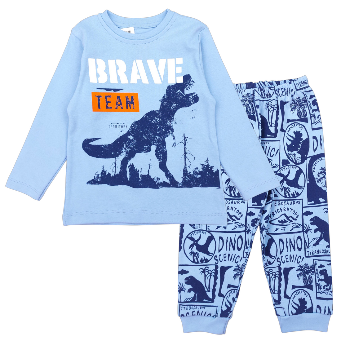 Dinosaur pajamas for boys blue Vitmo 51599-271124-35